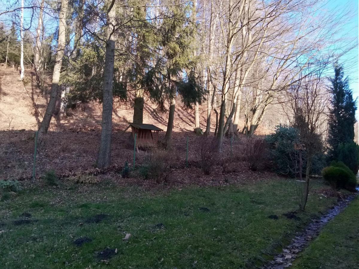 Apartmany Pod Prehradou Chřibská Dış mekan fotoğraf